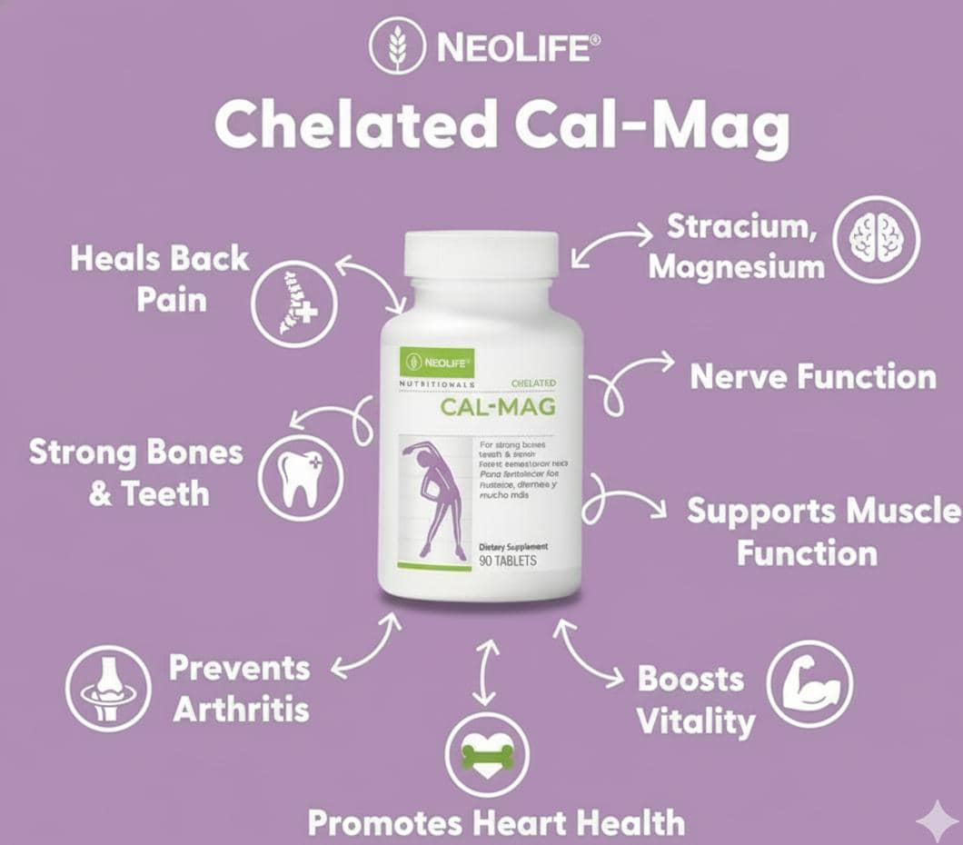 WhatsApp Image 2025-10-31 at 5.45.39 PM